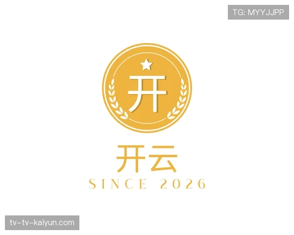 介绍开云世界杯
